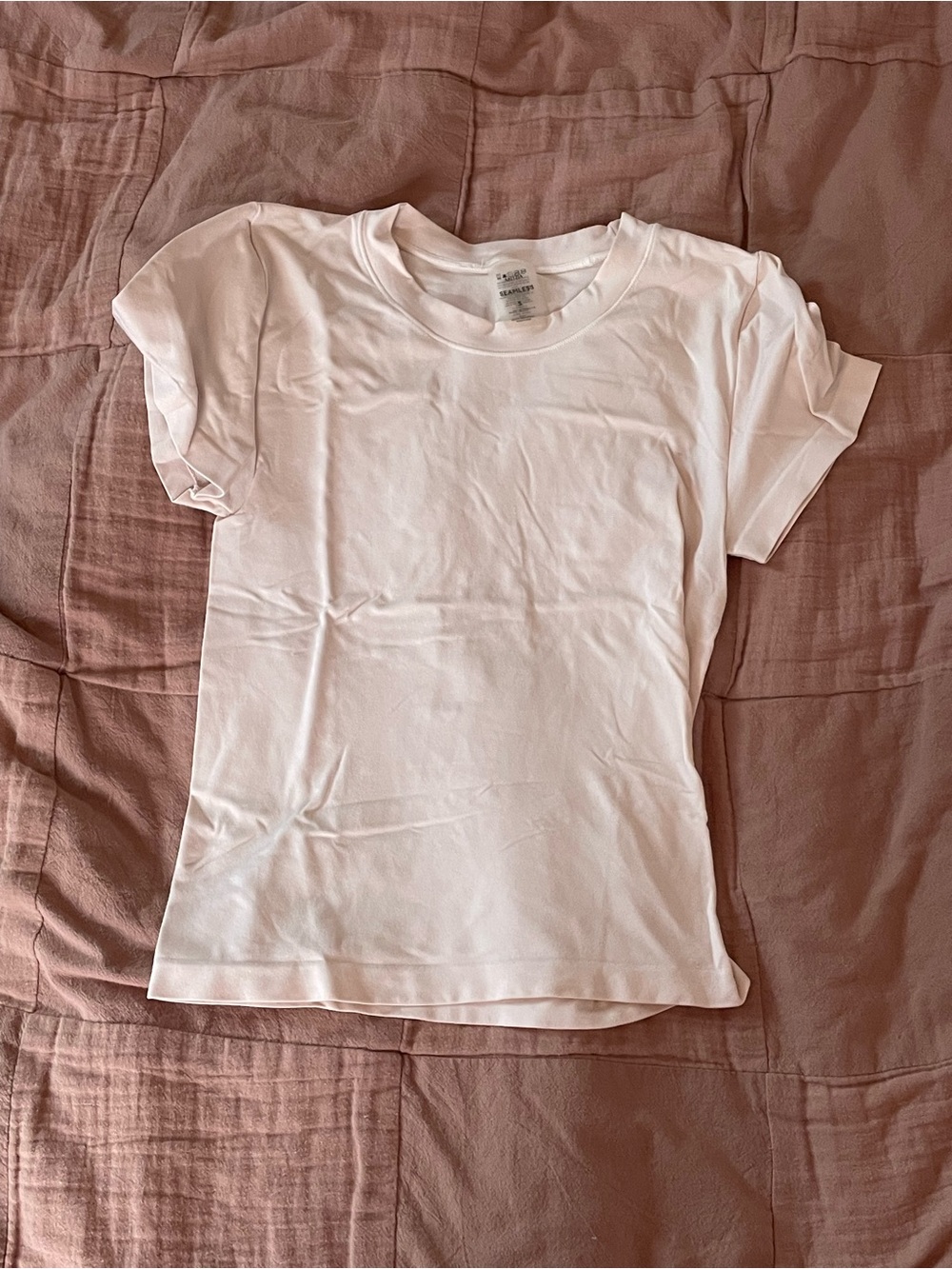 Aritzia seamless tee